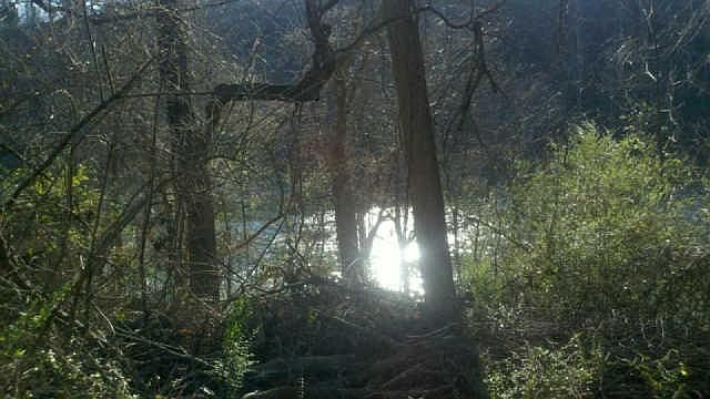 2nd image of 2445 Pennington Bend Rd