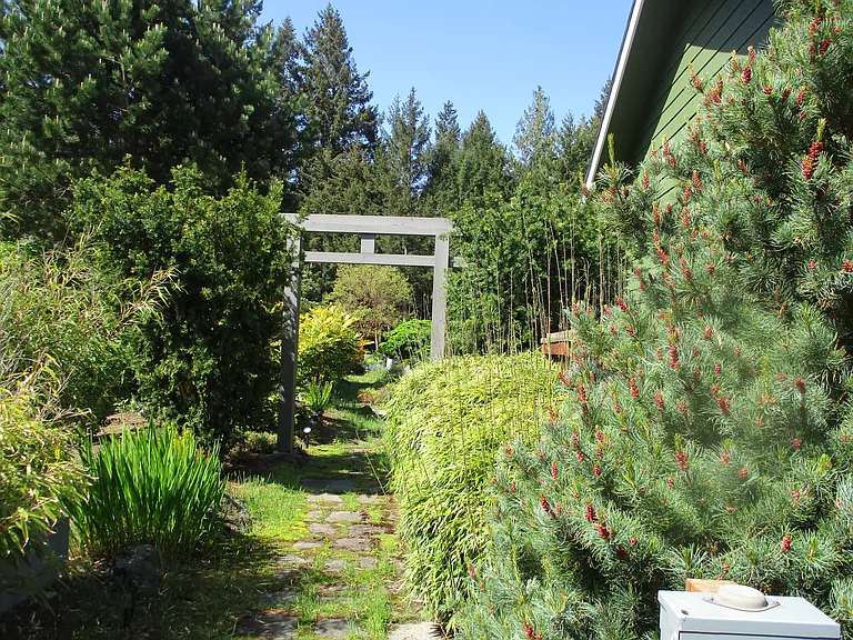 133 Olympic Vis — Photo 36