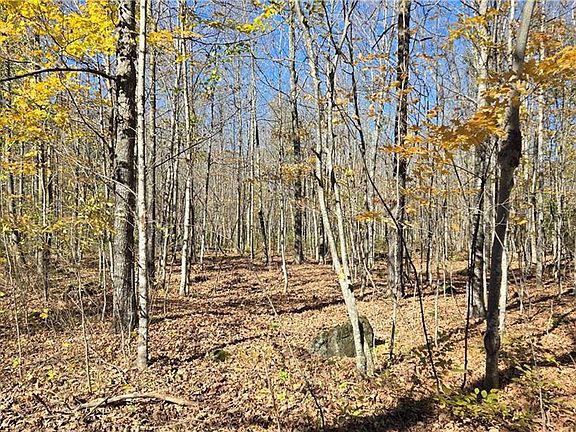 4th image of Lot 5 Deer Lake Rd.