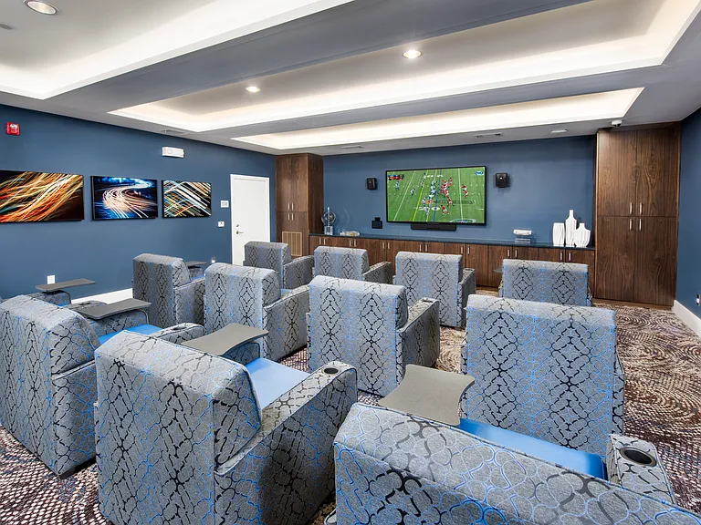 Theater Room
