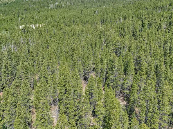 LOT 836 Nebraska Dr, Idaho Springs, CO 80452