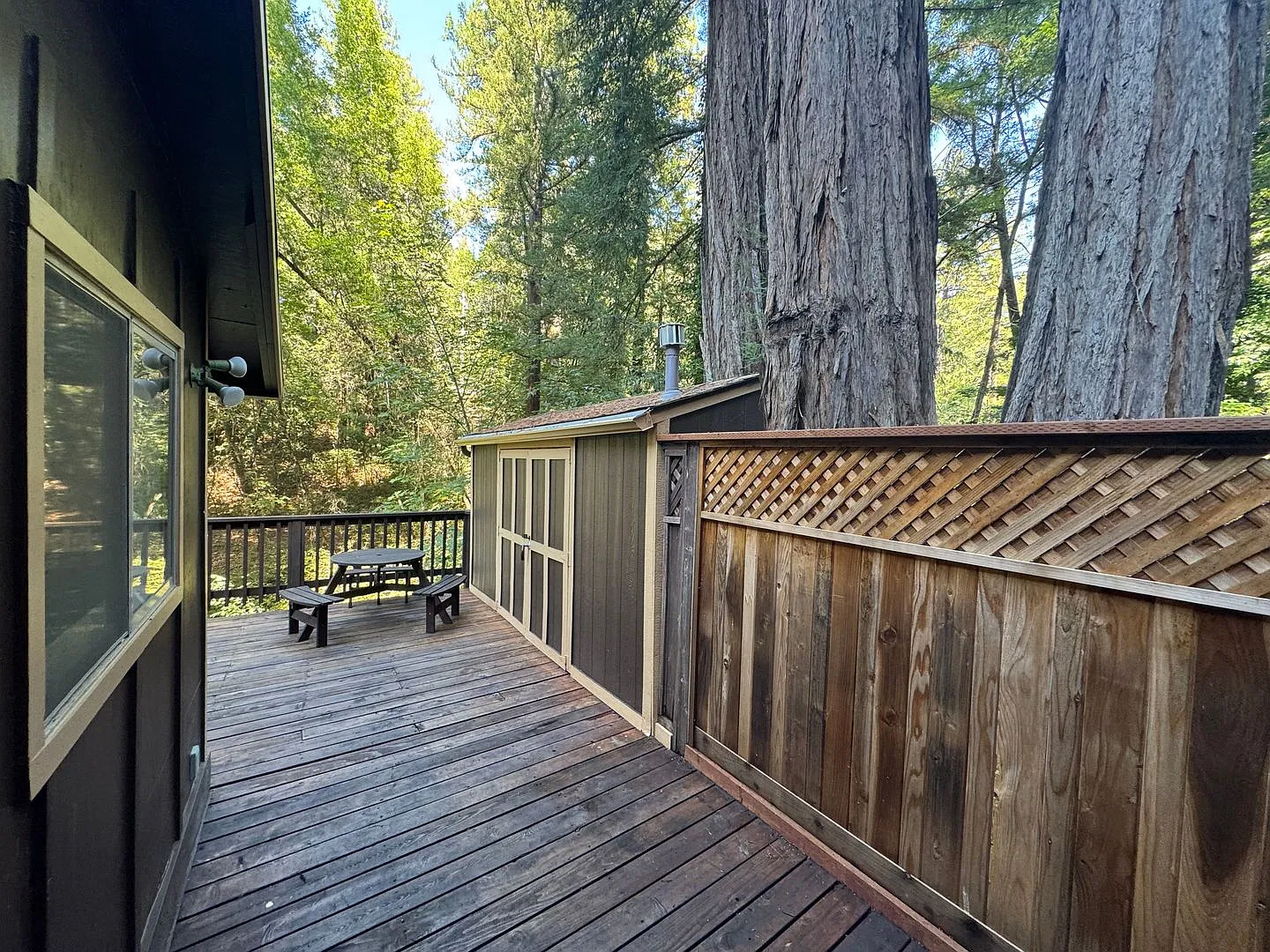 Cozy Cabin near downtown Boulder Creek — Photo 4
