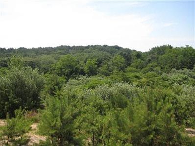 South westerly views