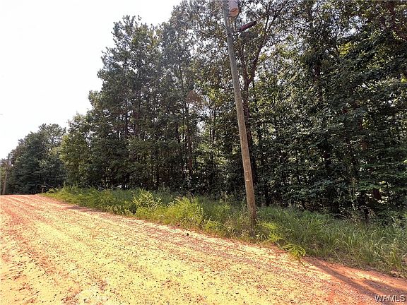 3rd image of LOT 6 Ann Marie Dr