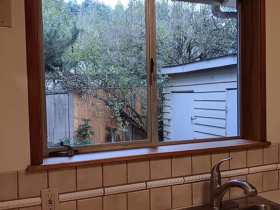 View of backyard from kitchen window.