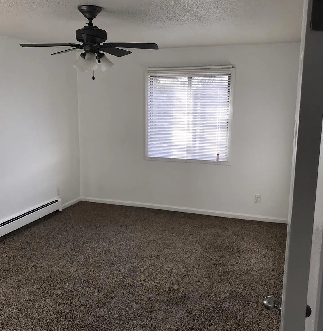 2 bed, 800 sqft, $1,095 — Photo 3