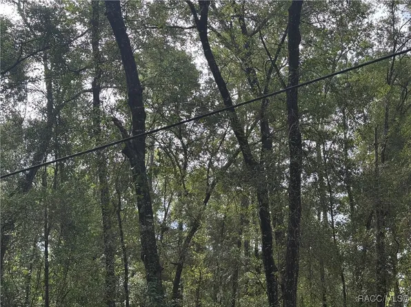 6066 E King Ln, Inverness, FL 34452