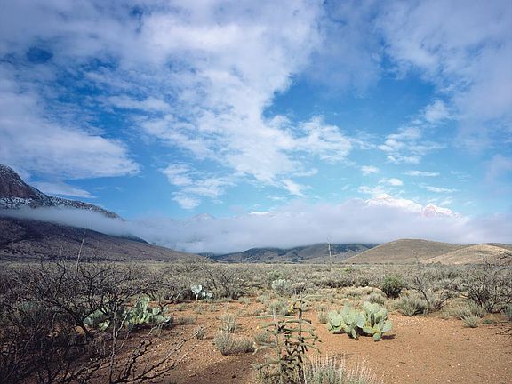 Sulphur Canyon in February