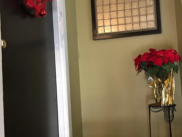 Front door