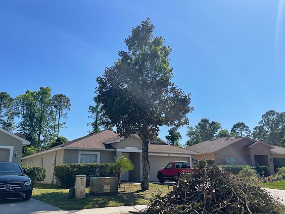 3rd image of 247 Dahoon Holly Dr