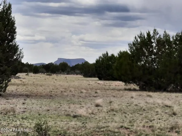LOT 609 W Younger Trl, Seligman, AZ 86337