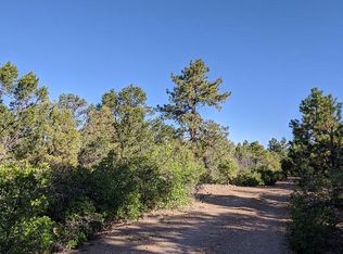Mountain Valley Acre #B-2-3, Questa, NM 87556