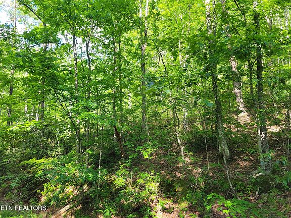 3rd image of 27 Black Oak Dr Lot 27
