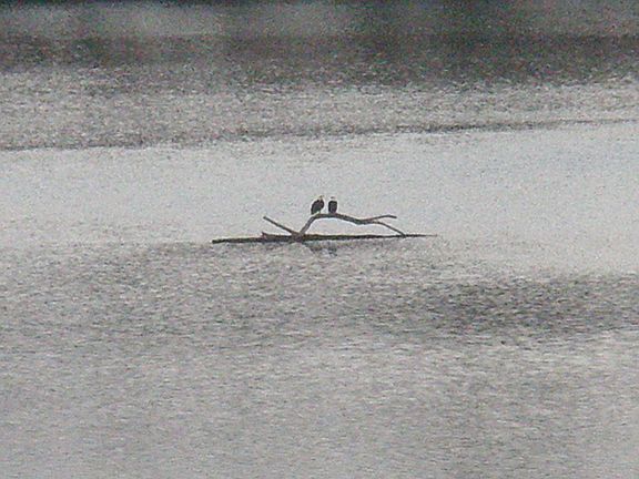 3rd image of 472 Lake Dr