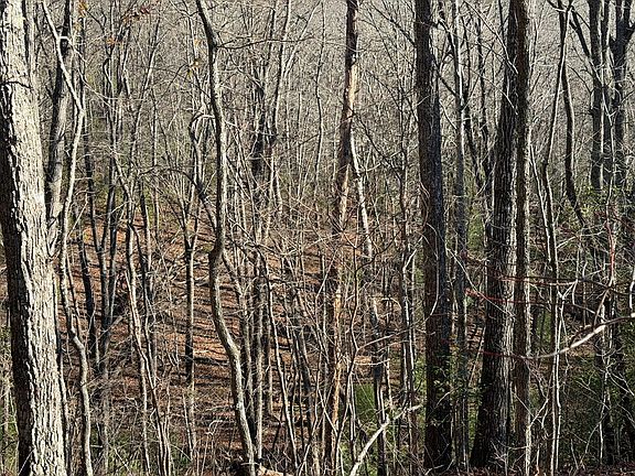 5th image of 0 Mission Ridge Ct