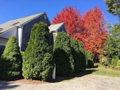 75 Blue Spruce Way #75, Mashpee, MA, 02649