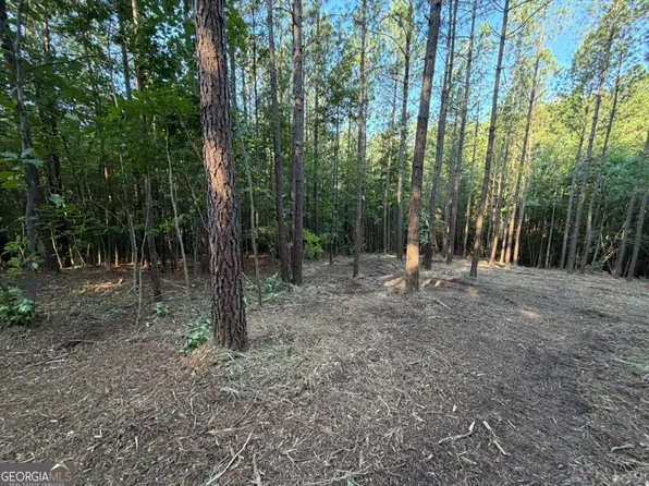 0 Lone Bear Path, Dallas, GA 30132