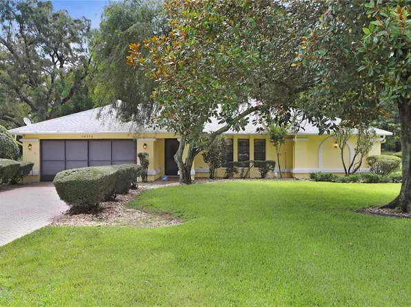 10576 Horizon Dr, Spring Hill, FL 34608
