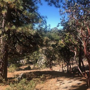 0 Northridge Dr, Idyllwild, CA, 92549
