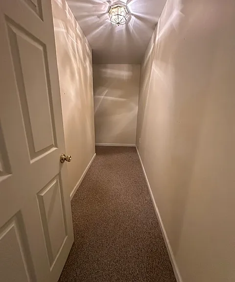 11021 Naples Ct #BASEMENT — Photo 19