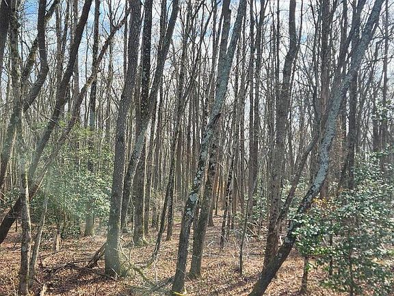 4th image of 15589 Union Rd