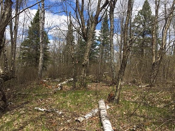 5th image of Lot 3 Meadow Lake Road