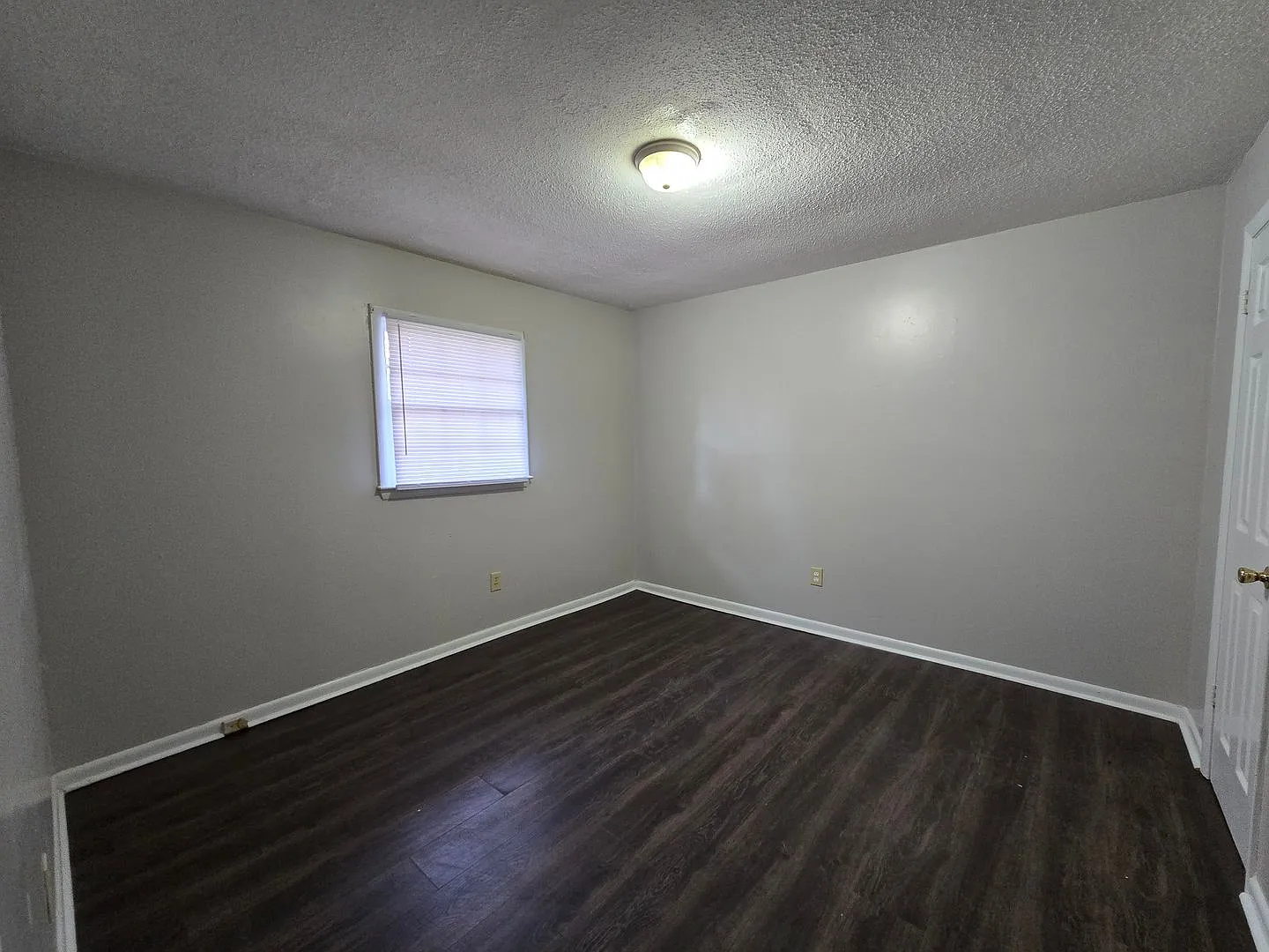 2305-B Emily ~ Broad Acres ~ 2 Weeks Free! — Photo 3