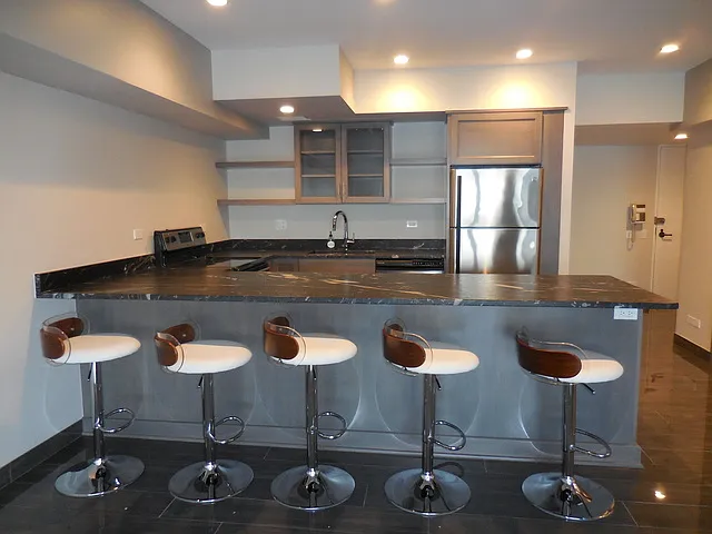 175 E Delaware Pl APT 4509 photo 1