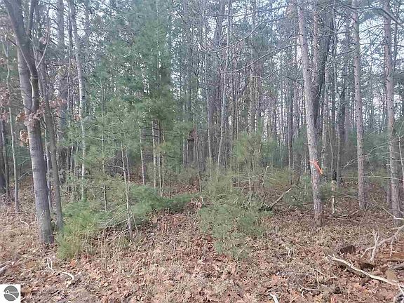 4th image of 5 County Road 612 NE