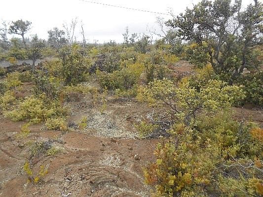 1st image of Palm Pkwy Lot 31