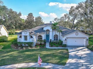 4824 Willow Ridge Ter, Valrico, FL 33596