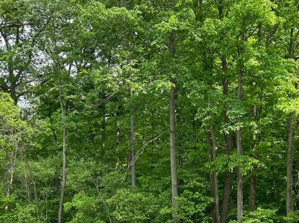 E Shore Dr, Geneva, IN 46740