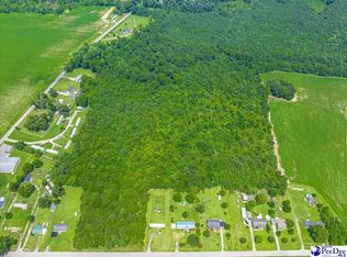 Tbd Black Branch Rd, Dillon, SC 29536