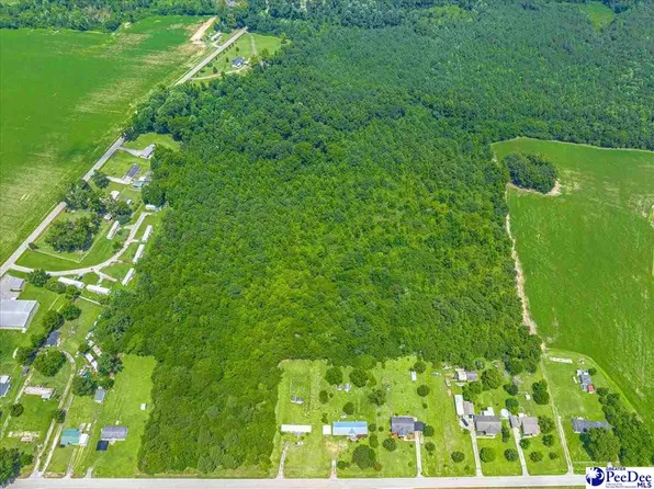 Tbd Black Branch Rd, Dillon, SC 29536