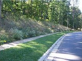 4th image of 5 Crosstimber Ct
