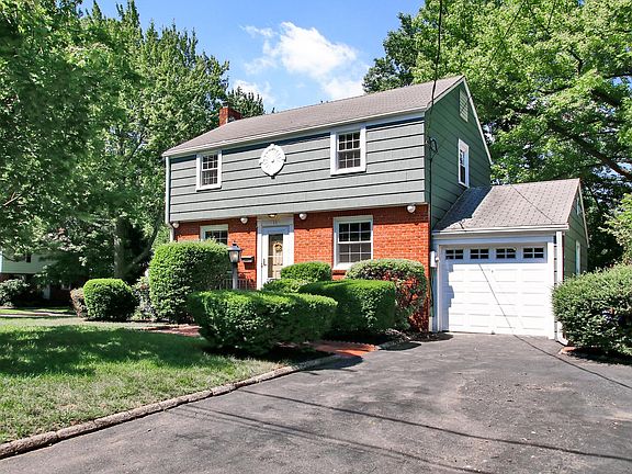 Tree lined quiet street