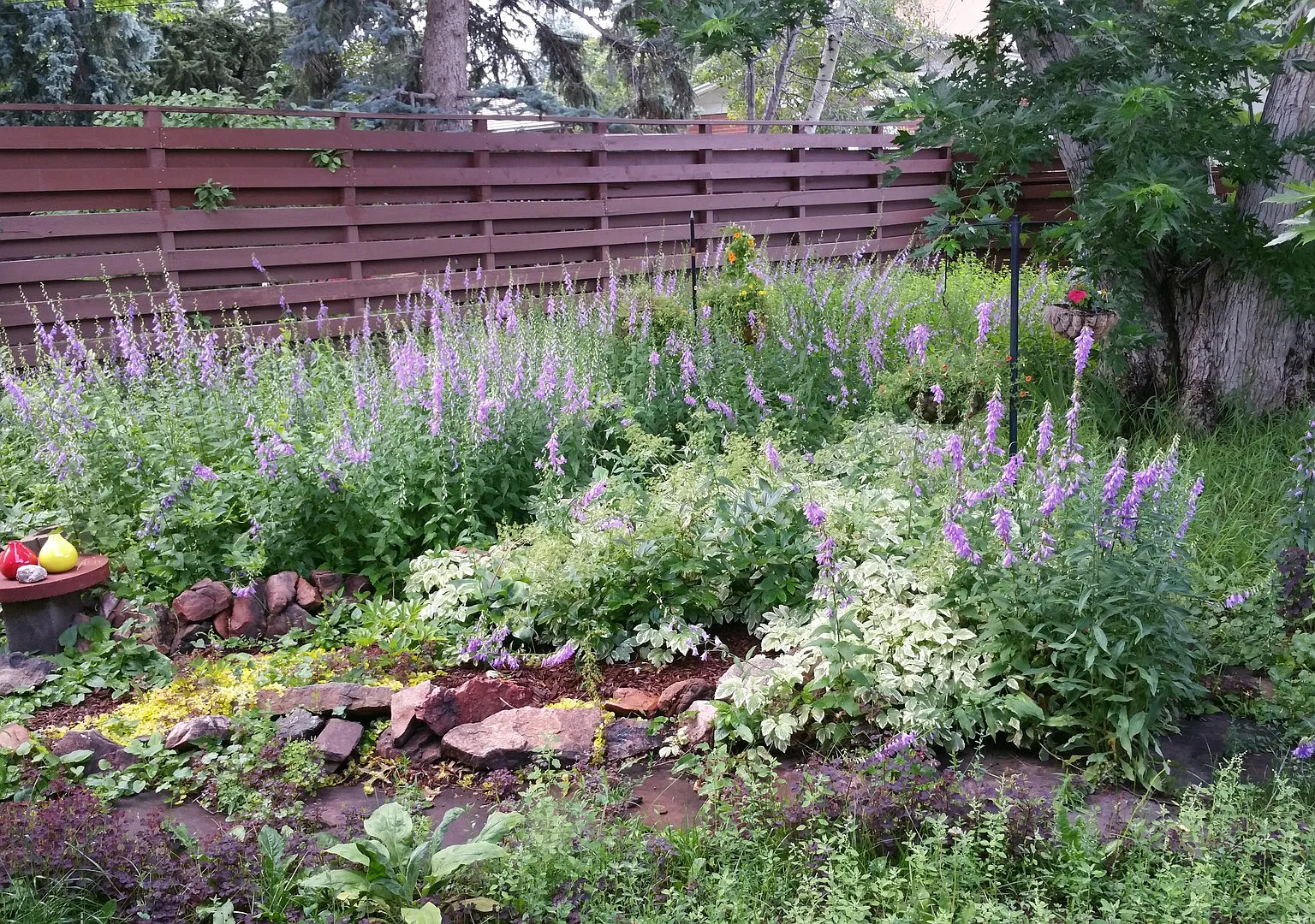 Grape Vines On Grape Ave: 3 Bed/2 Bath Ranch In Amazing Location In Old North Boulder! — Photo 4