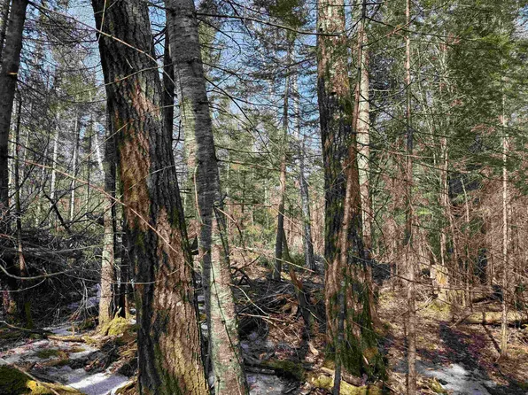 1XX 13th Ave W, Grand Marais, MN 55604