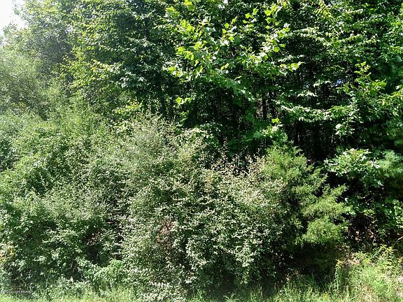 3rd image of LOT 73 Lr 461 Lot 73