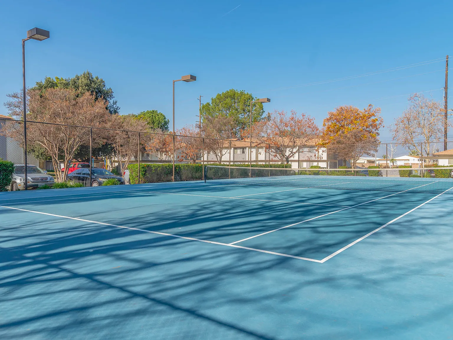 Citrus Grove Apartments — Photo 3
