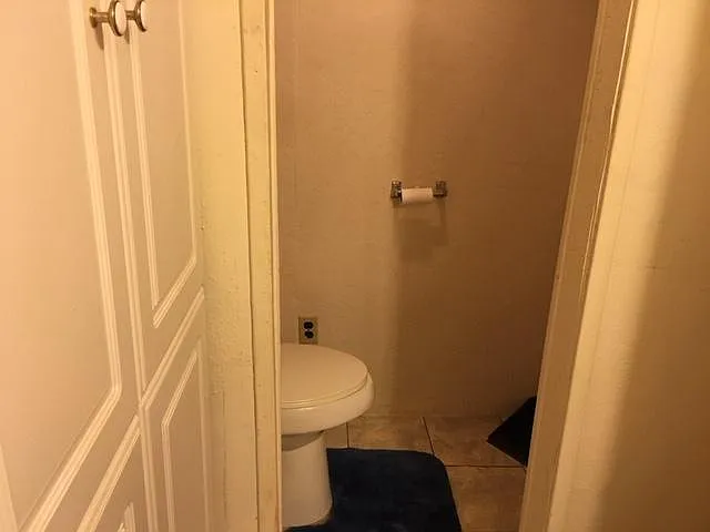 THE CHAIR HEIGHTH ELONGATED TOILET IS IN A SEPARATE ROOM IN THE BATHROOM. THE BIG CABINET IS THE LINEN CLOSET. ALSO IN THE BATH ROOM.
