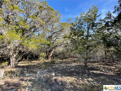 544 Canyon Rock, Spring Branch, TX, 78070