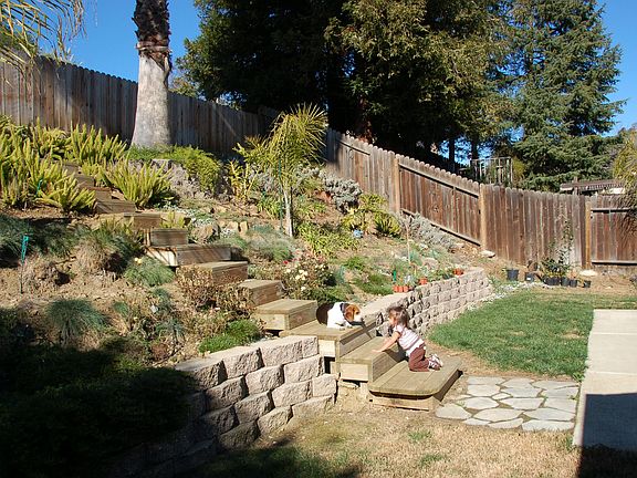 Right side of the yard