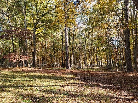 Large yard for future shop.