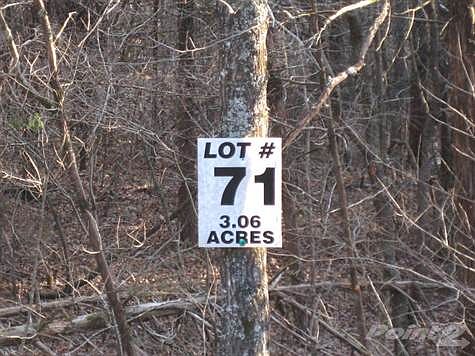 Lot 71 on the Right