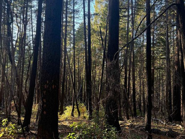 Cade Mountain 19n01 Forest Rd, Happy Camp, CA 96039