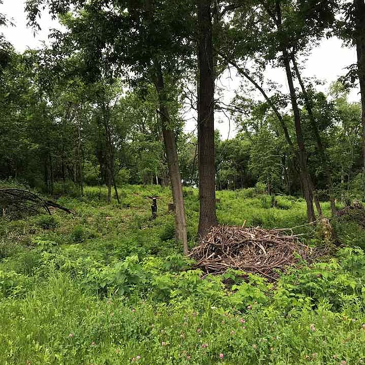 1st image of 3221 Rockport Park Dr