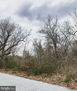 0 Steinfeld Ave, Elmer, NJ, 08318