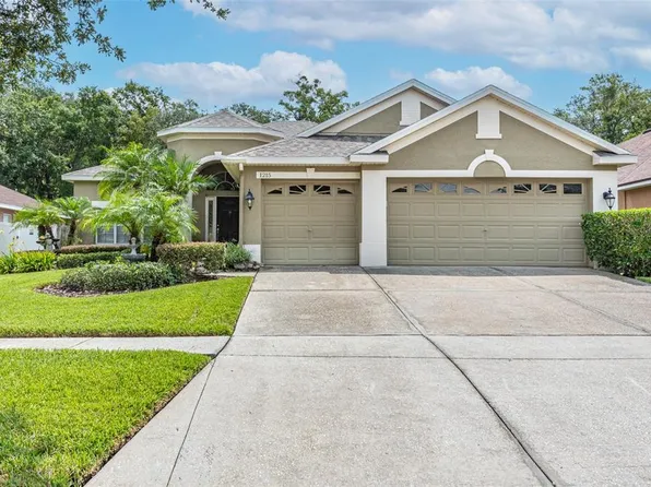 1215 Emerald Hill Way, Valrico, FL 33594