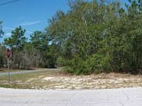 1st image of 1812 W La Bonte Cir